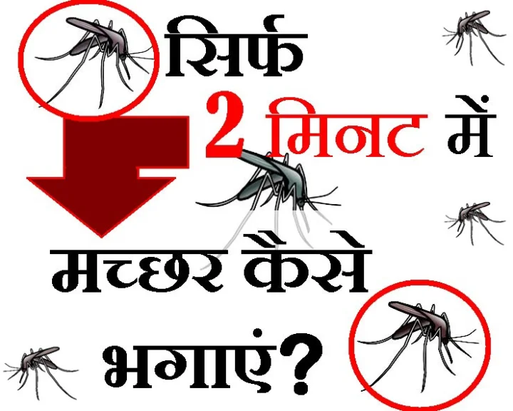 मच्छर भगाएं