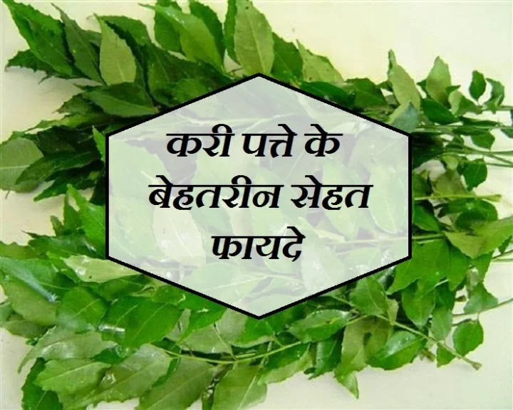 Curry Leaves