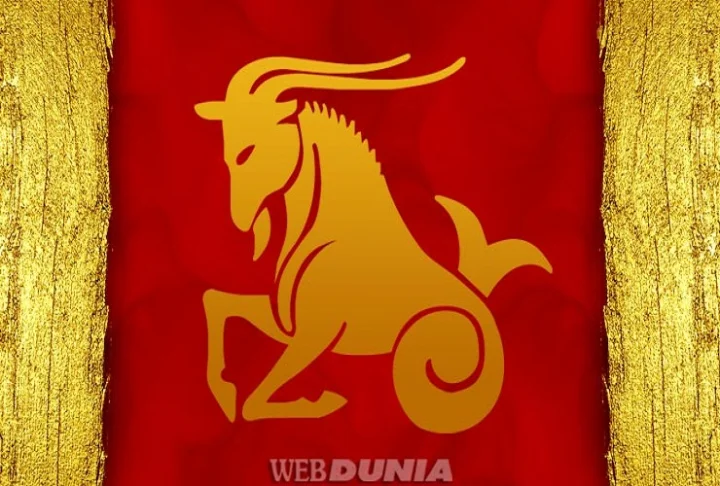 Capricorn Rashi