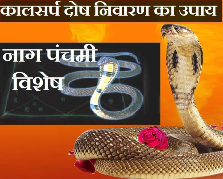 Nag Panchmi 2019