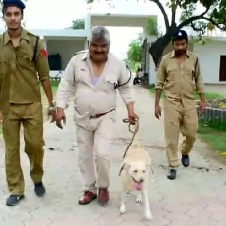 ગુજરાતમાં શ્વાનથી ગેરકાયદે દારૂની હેરાફેરી કરનારાઓ છટકી શકશે નહીં, એડ્રેવ અને કેમરી આંખના પલકારામાં આ કામ કરશે.