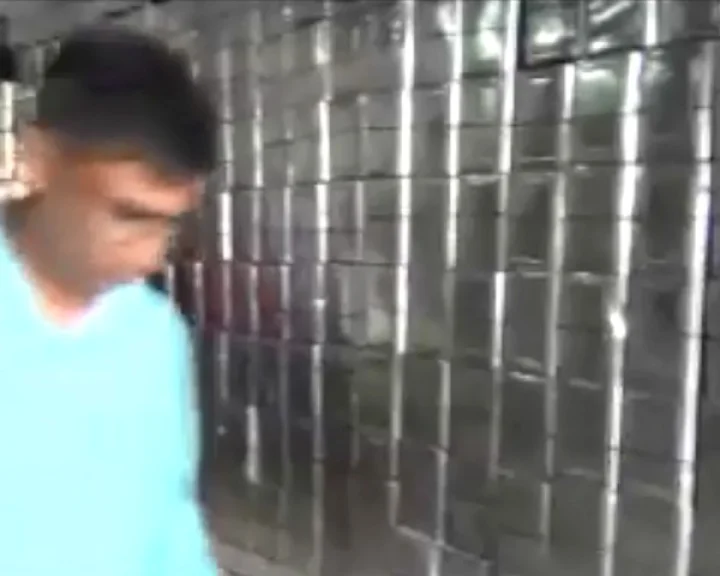 Adulteration Milk
