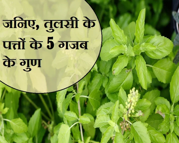 हेल्थ