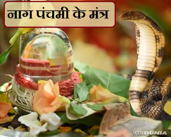 Nag Panchmi 2019