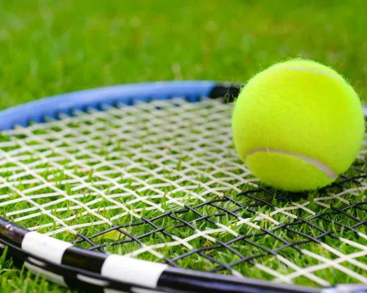Davis Cup