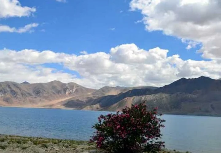 Jammu and Kashmir