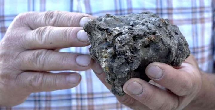 Shilajit: A wonderful herb