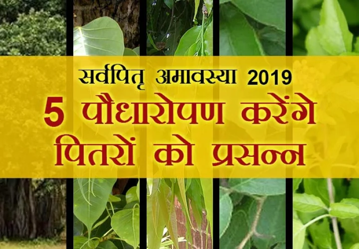 सर्वपितृ अमावस्या  सरल और सटीक उपाय