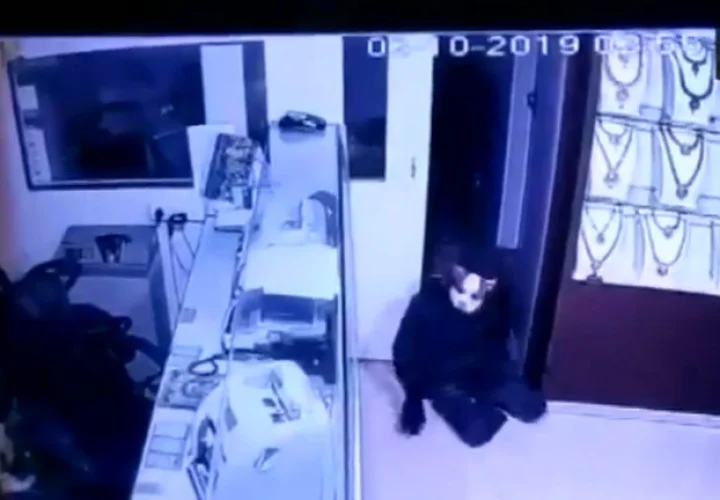 कुत्ते-बिल्ली का मास्क पहनकर ज्वेलरी शोरूम में घुसे चोर, चुराए 13 करोड़ के गहने