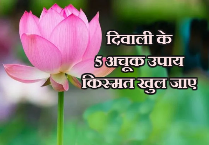 diwali 2019