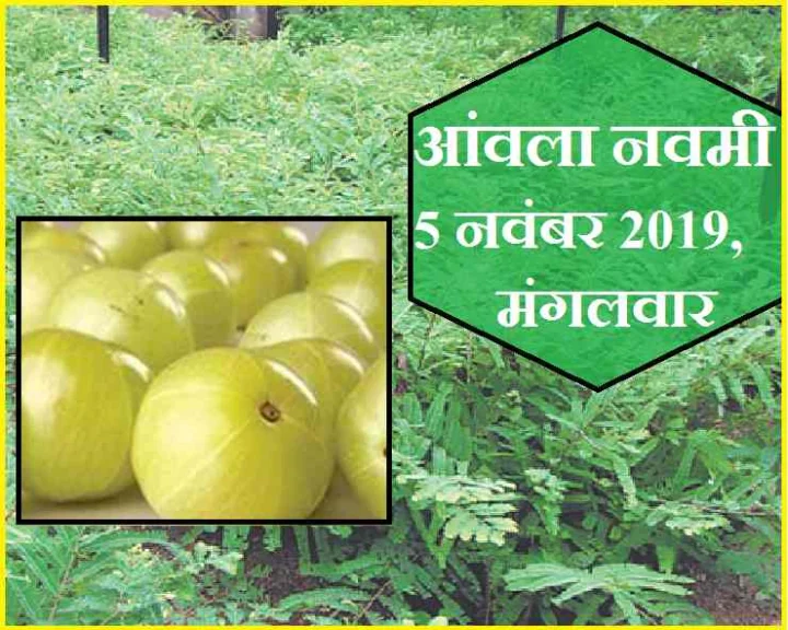 Amla Navami 2019