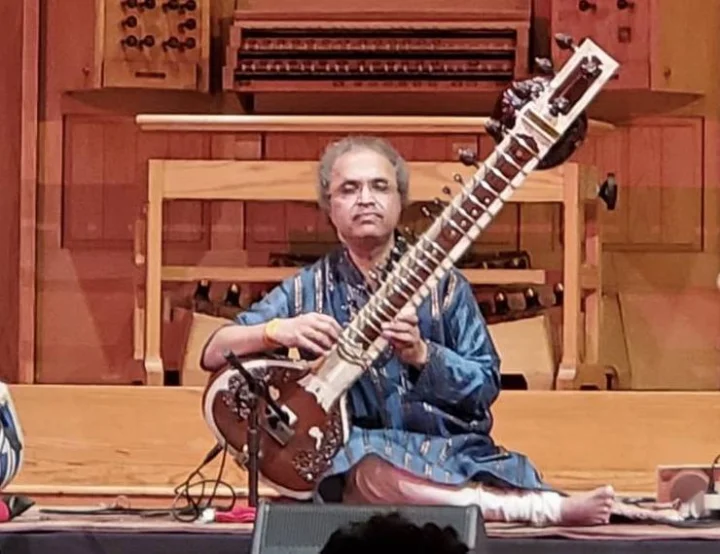 Musician Shubhendra Rao