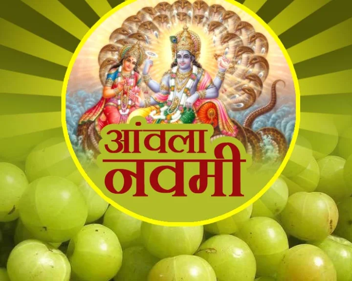 amla navami story