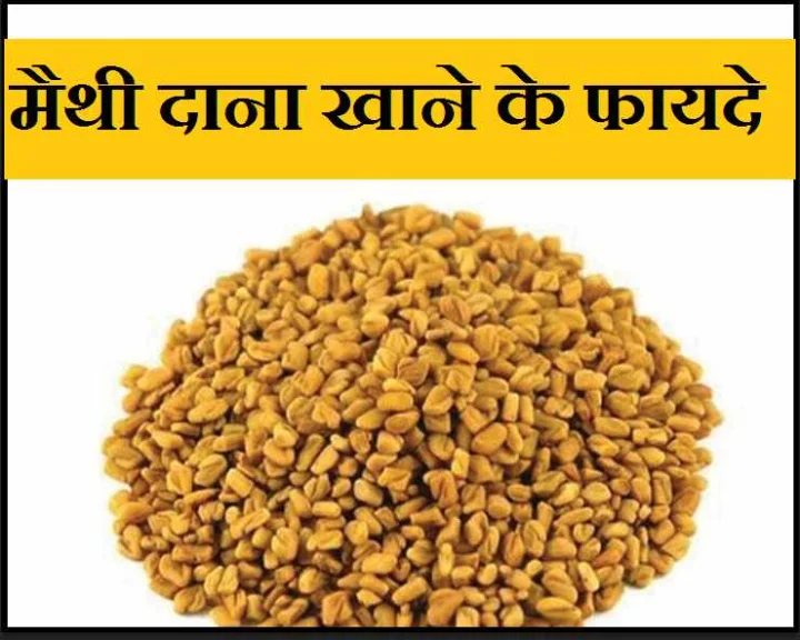 बहुत ही गुणकारी व कई बीमारियों में लाभकारी है मैथी दाना