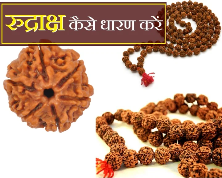 रुद्राक्ष