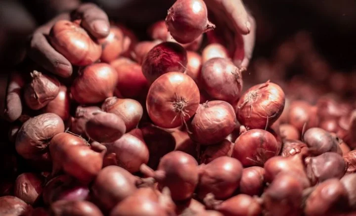 Onion prices