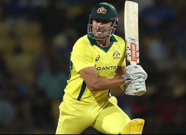 Marx Stoinis
