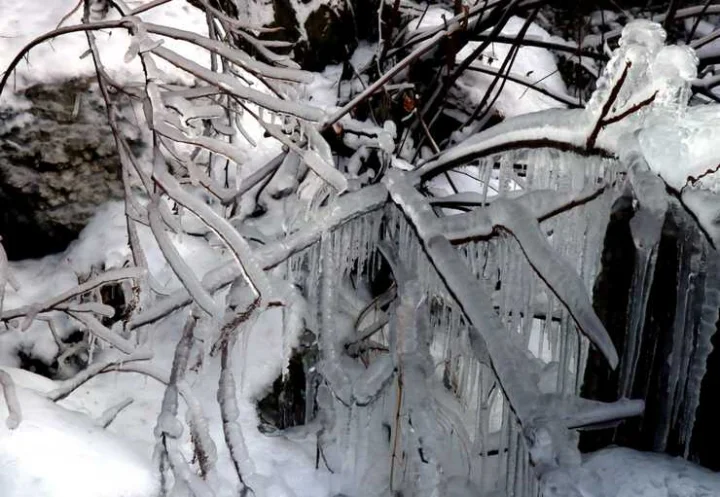 cold