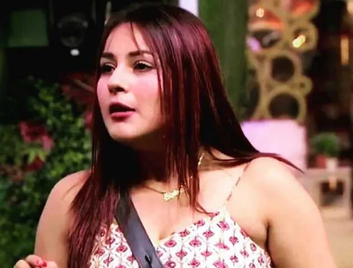 Bigg Boss 13