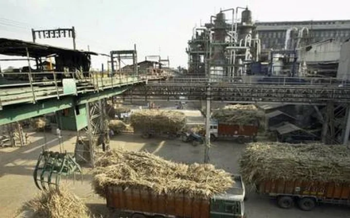 Haryana China Mill