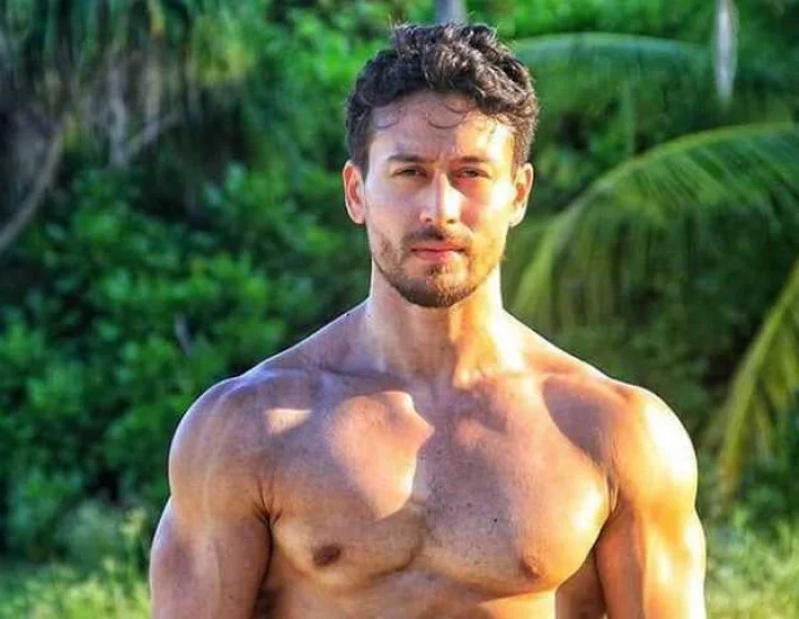 Baaghi 3