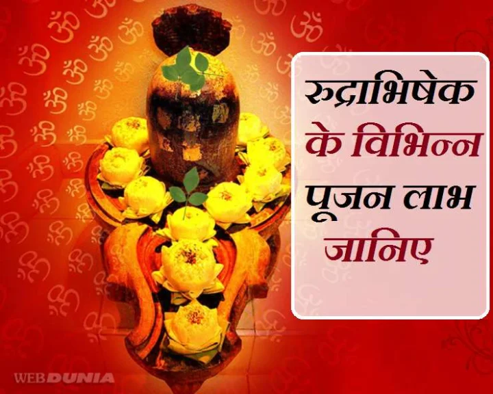 Perform Rudra Abhishek Pooja