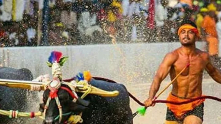 Karnataka Kambala