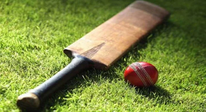 cricket ball