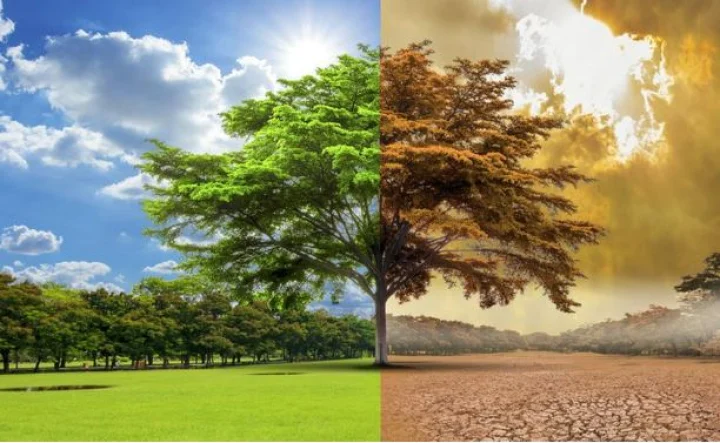 Environment