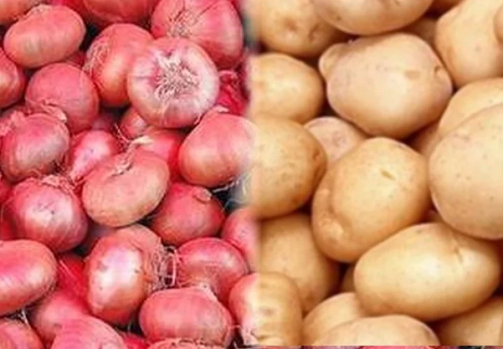 Potato