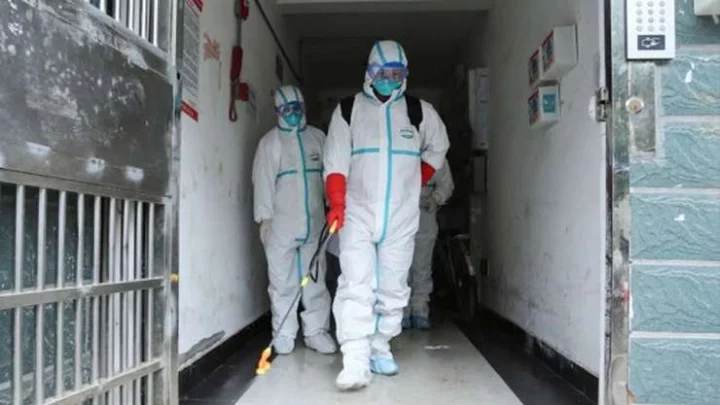 Corona virus