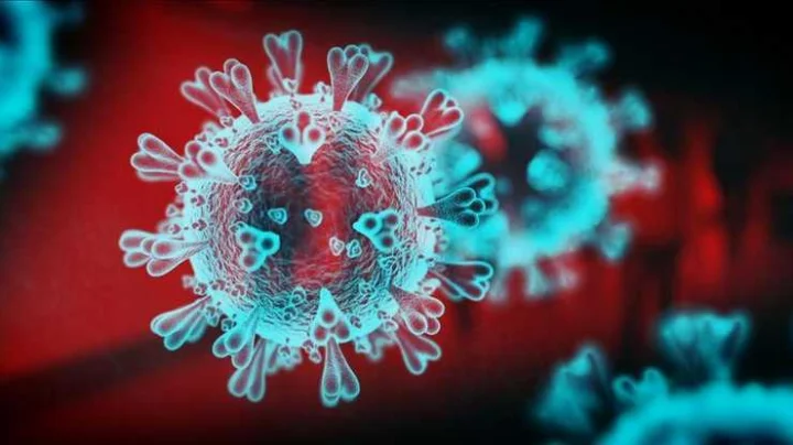 Corona Virus