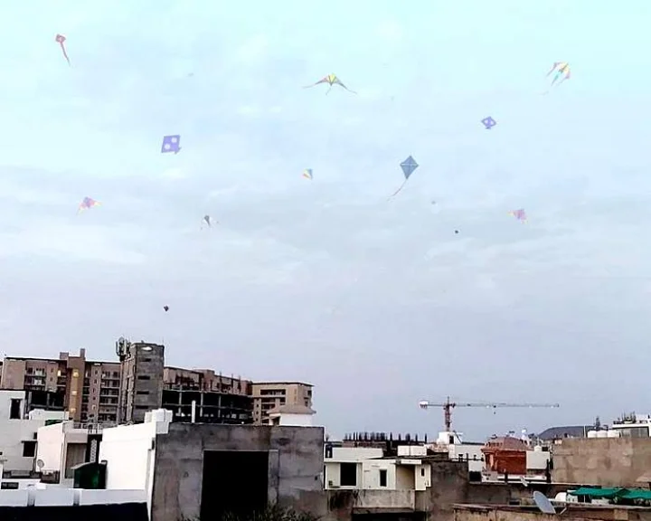 Kite in Jaipur