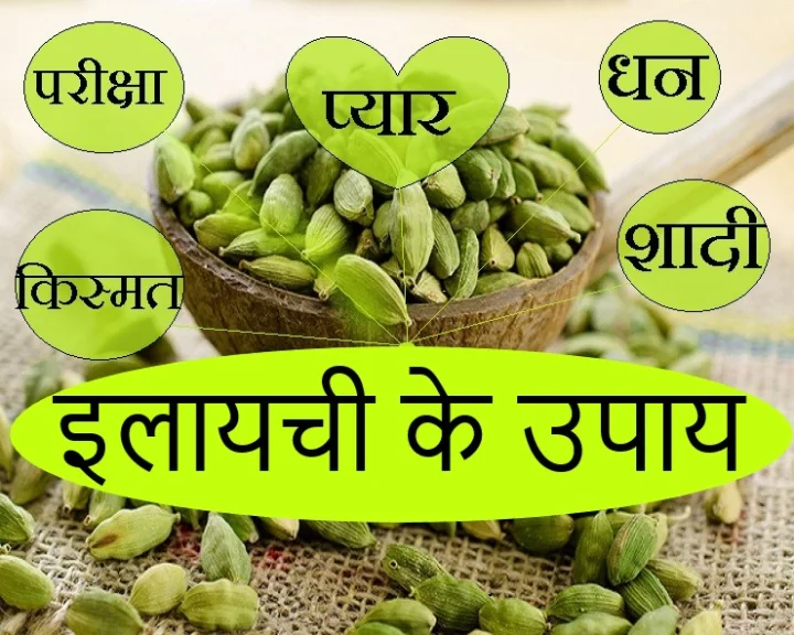 इलायची