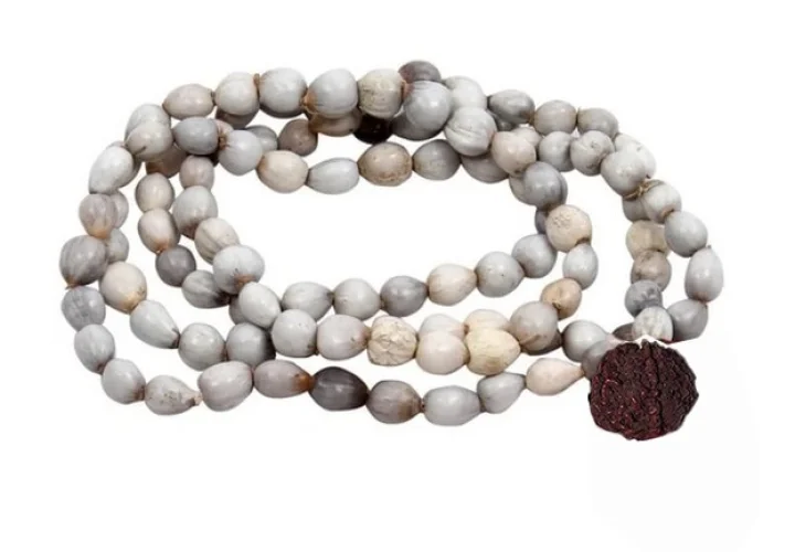 Benefits of Vaijayanti Mala
