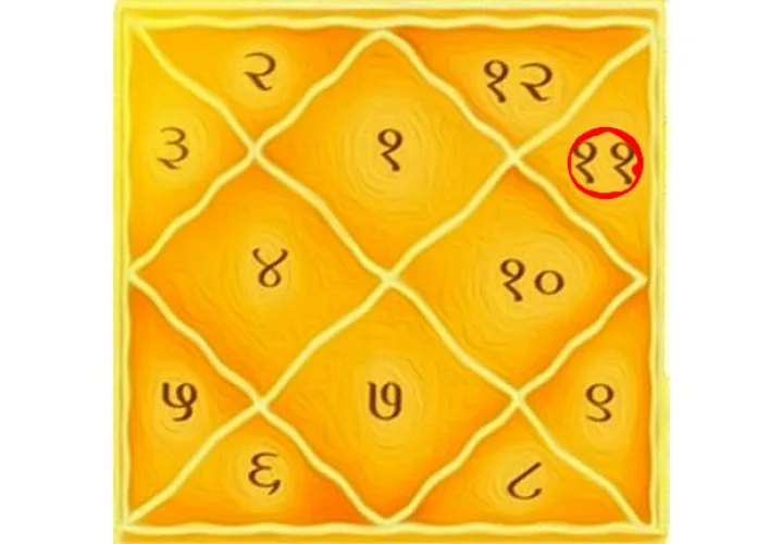 Shani in 10th house Lal Kitab in hindi