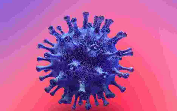 corona virus