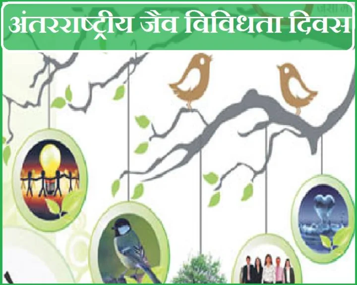 World Biodiversity Day