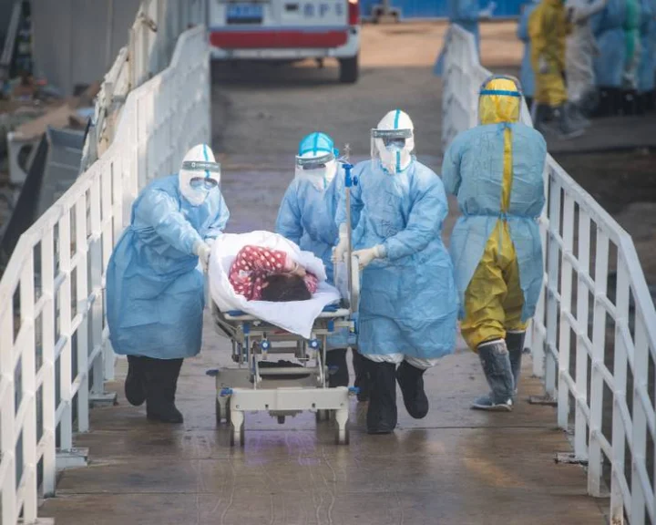 Corona virus