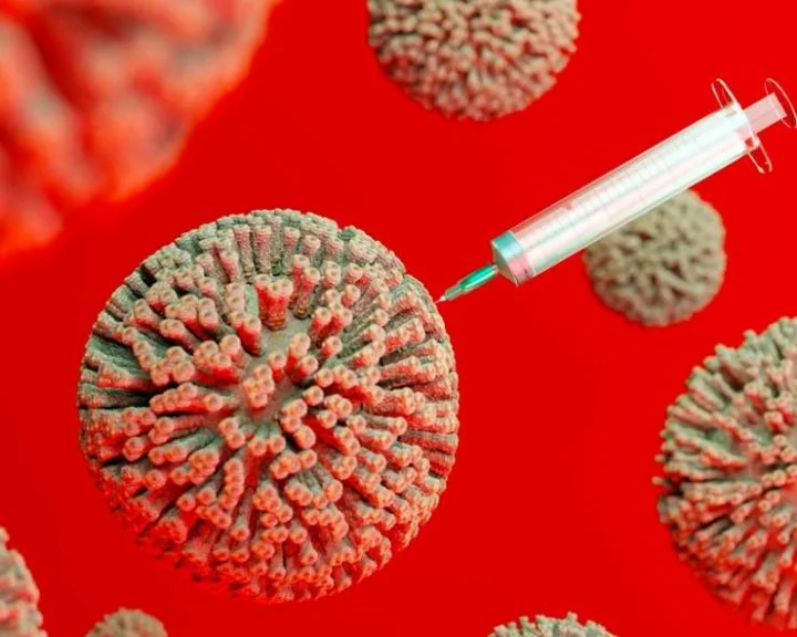 Corona virus