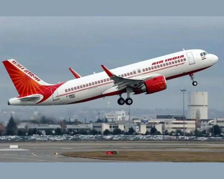 Domestic flights