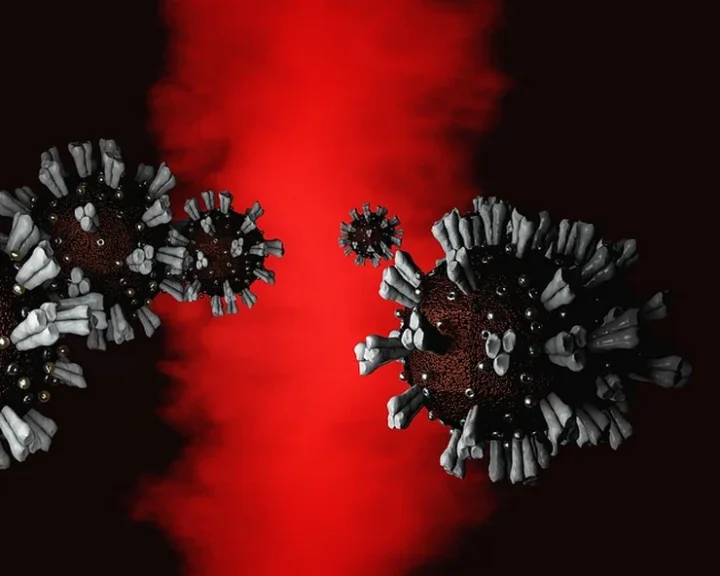 CoronaVirus