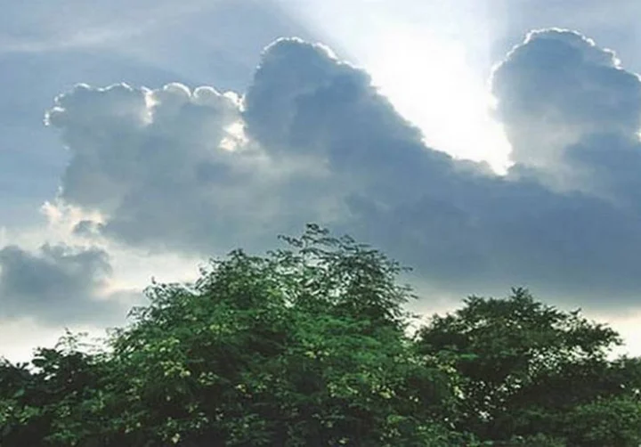 Weather