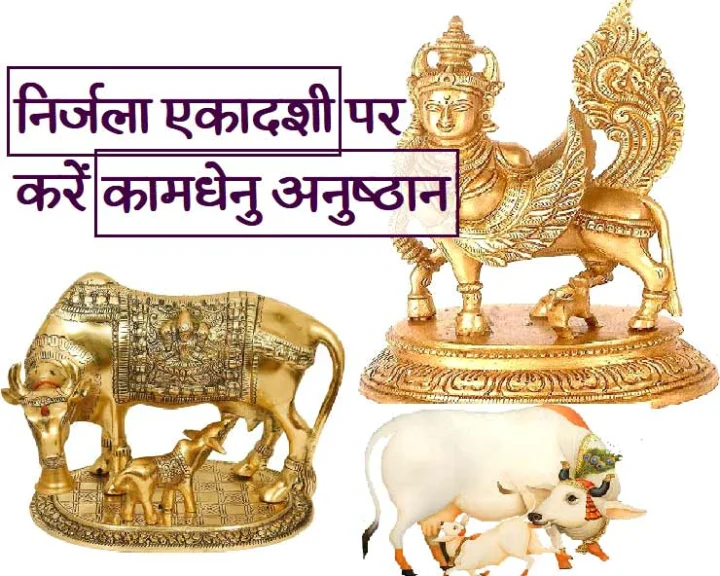 Nirjala Ekadashi 2020
