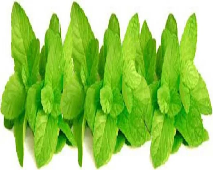 स्कीन केयर टिप्स