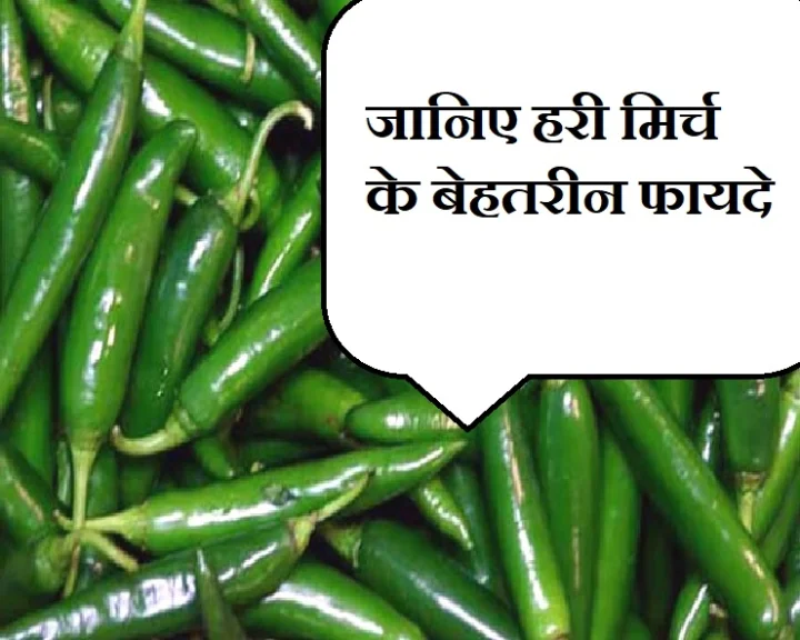 हरी मिर्च
