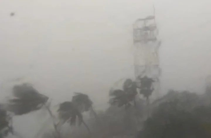 Cyclone Nature