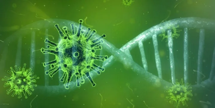 Coronavirus