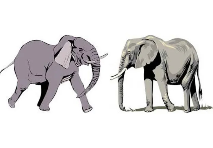 Elephant hathi vastu