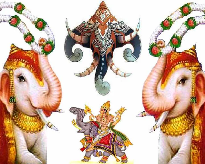 Elephant